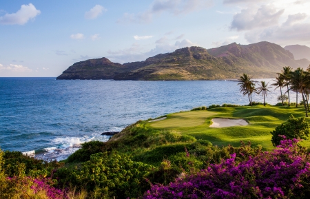 午夜生活方式指南